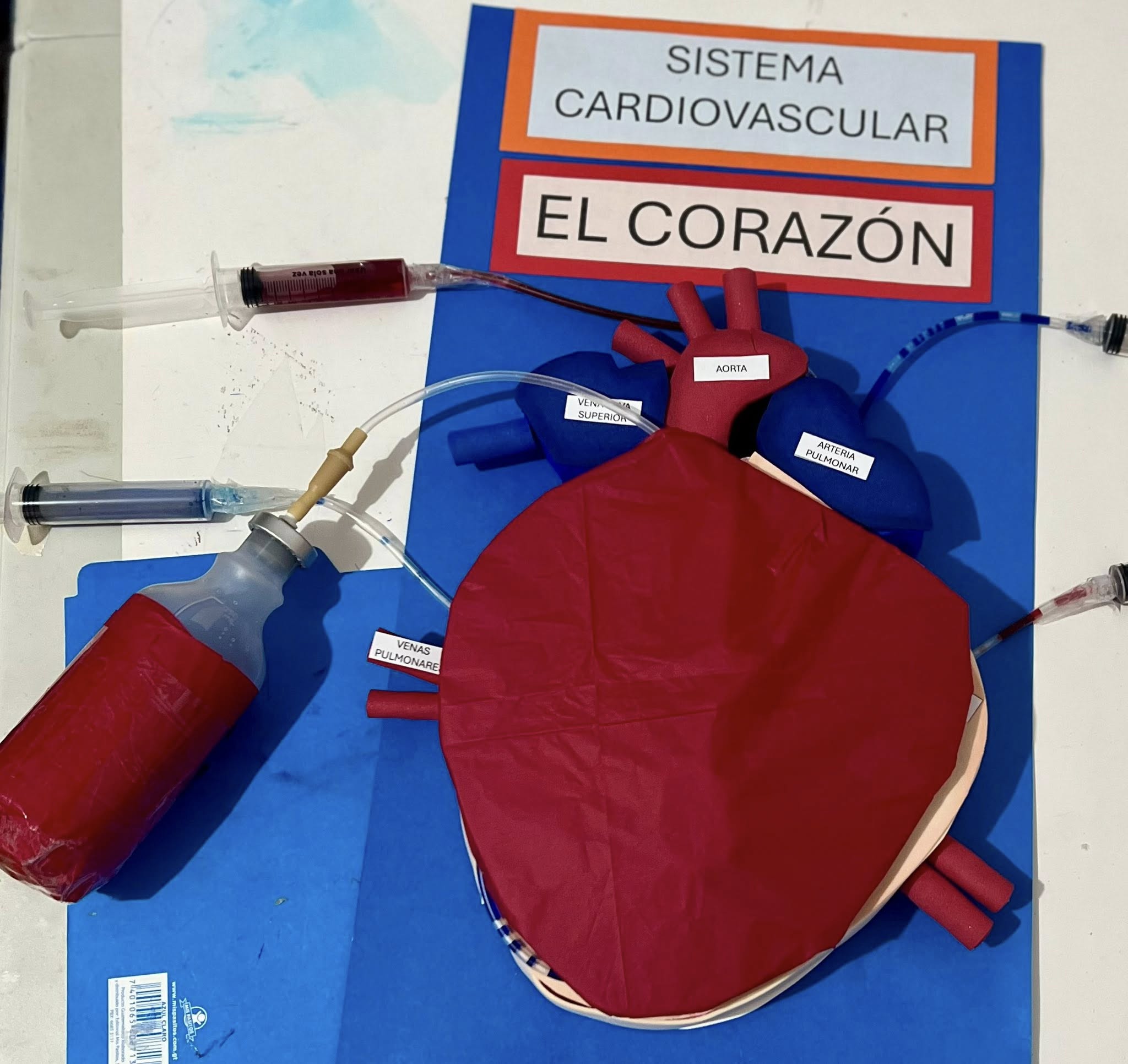 Trabajo realizado por Material Educativo - Material Educativo